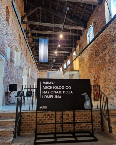 museo_archeologico_lomellina_4