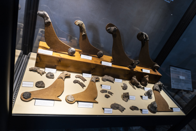 museo_archeologico_vigevano_6