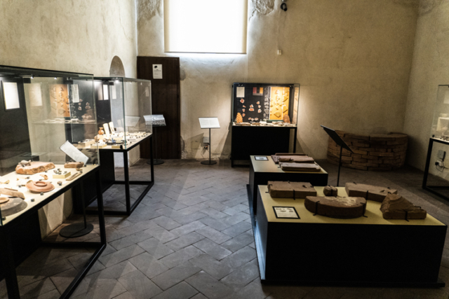 museo_archeologico_vigevano_7