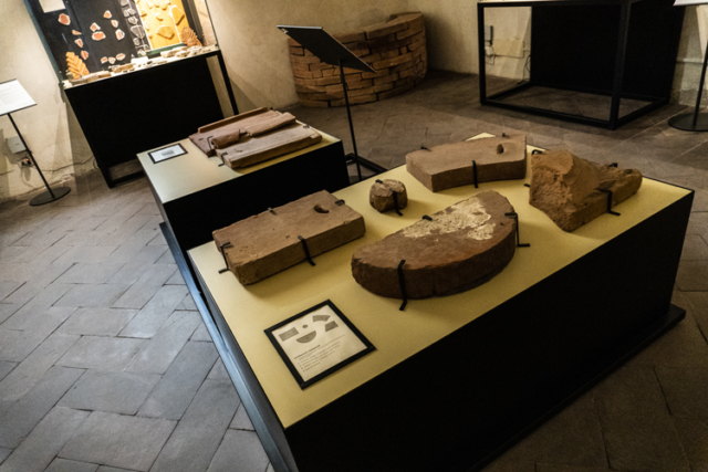 museo_archeologico_vigevano_8