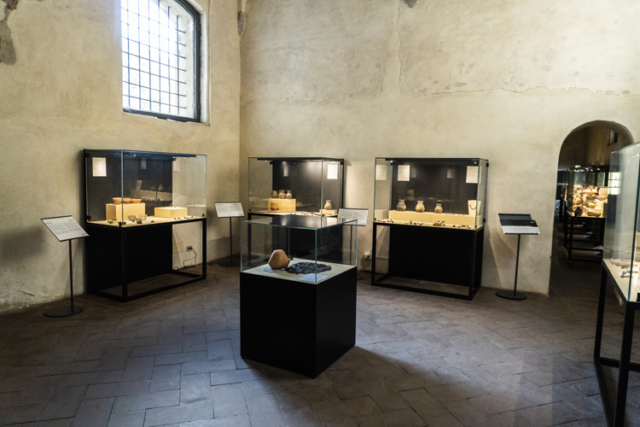 museo_archeologico_vigevano_9